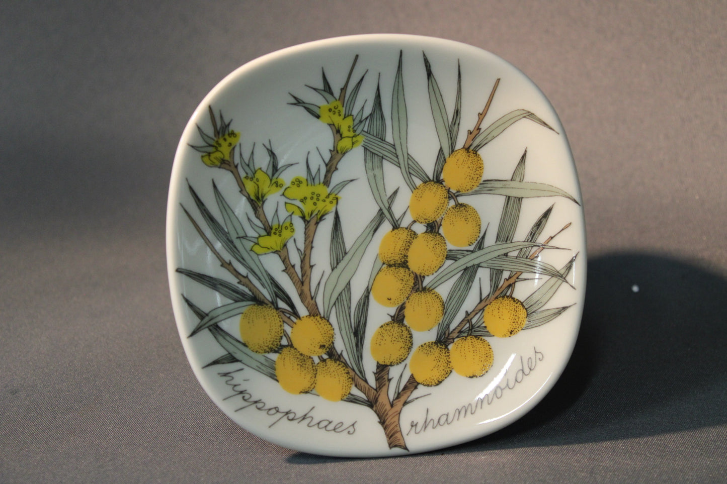 Arabia seinälautanen Tyrni, Esteri Tomula, etukuva