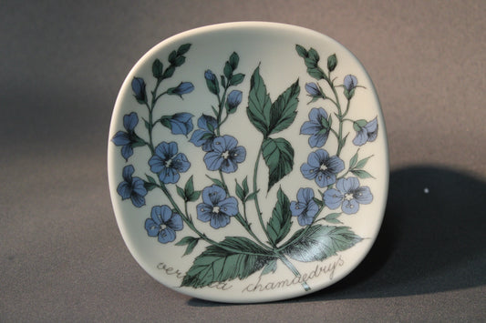 Arabia seinälautanen Nurmitädyke, Esteri Tomula, etukuva