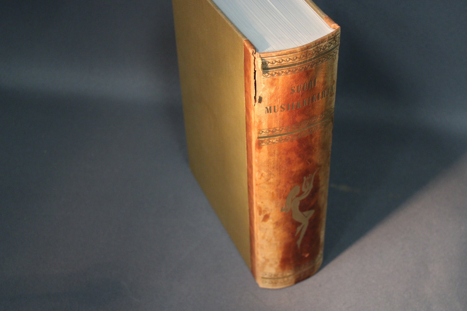 Suuri musiikkikirja sivuleikkaus ja paksu kirjaselkä